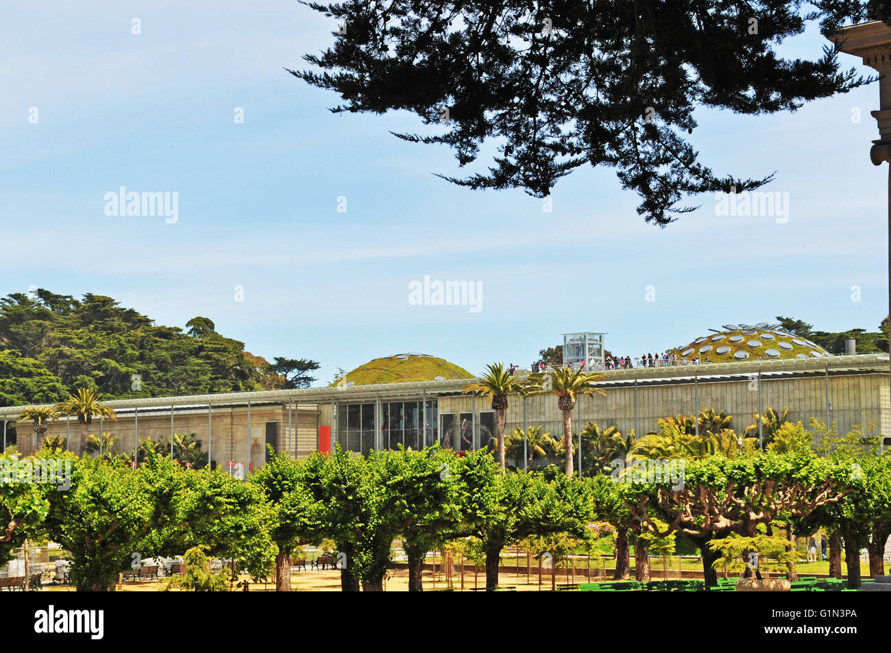 San Francisco: the green roof of California Academy of Sciences, the architect Renzo was inspired by 7 major hills of the city Stock Photo