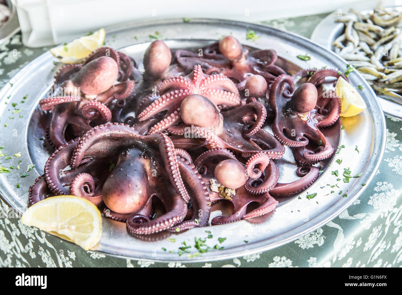 Grilled octopus. Traditional Mediterranean dish. Stock Photo