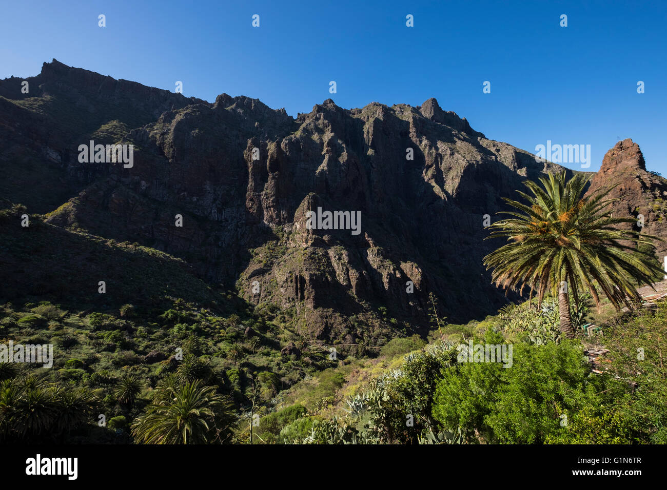 View of the southern ridge above the Masca barranco, Masca, Tenerife, Canary Islands, Spain. Stock Photo