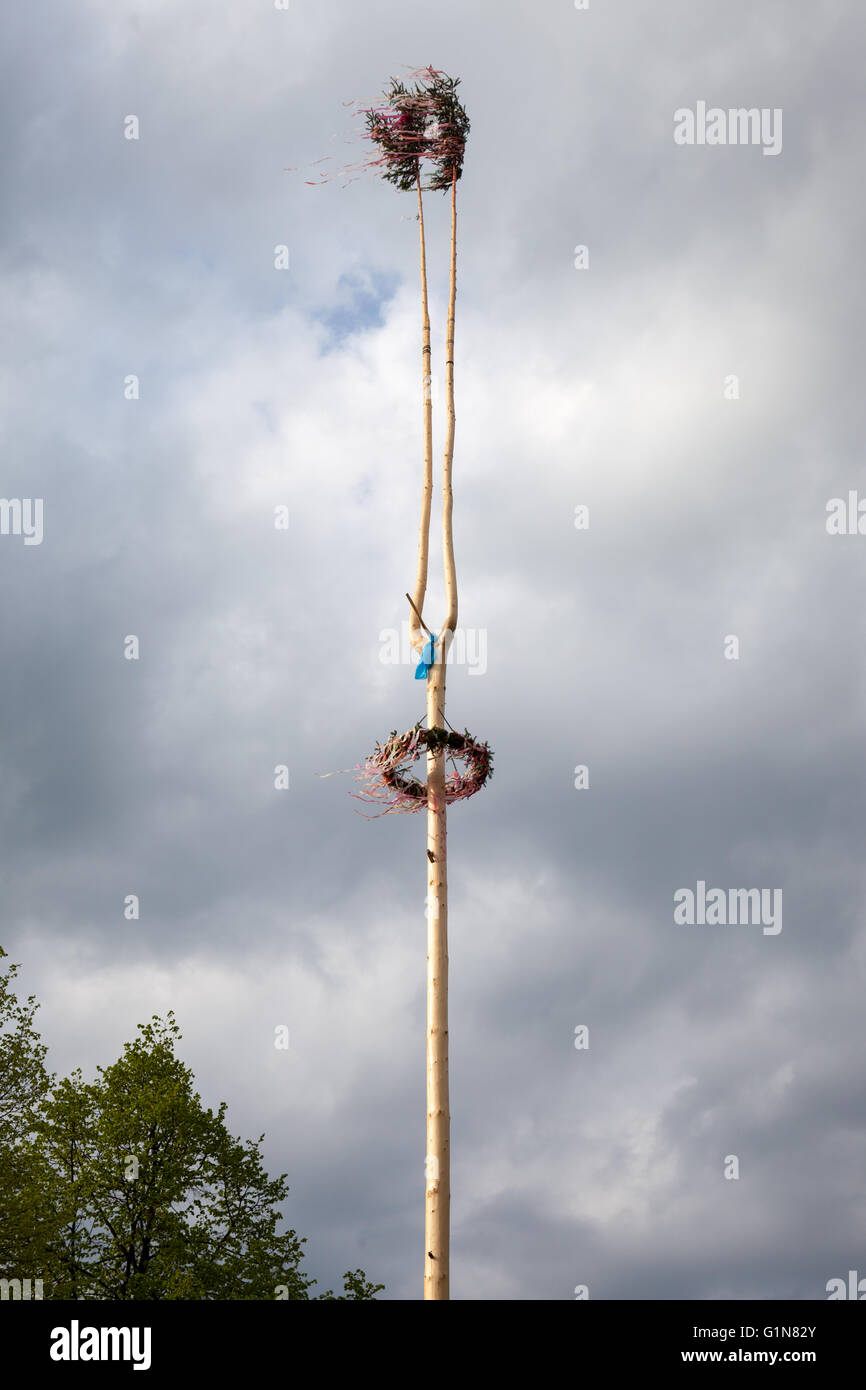 Tall wooden maypole in a village in the Czech Republic Stock Photo