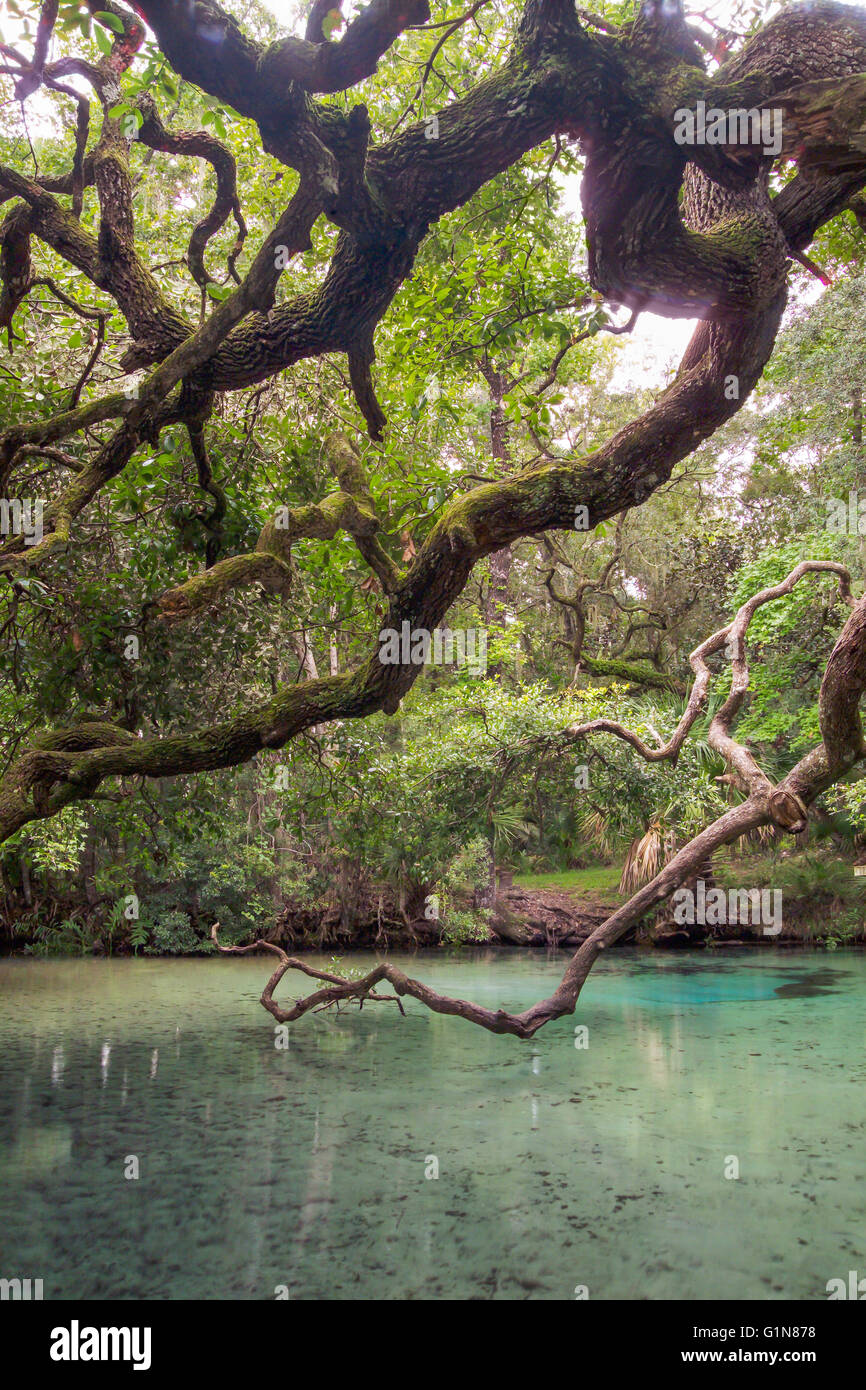 Freshwater spring vent hi-res stock photography and images - Alamy