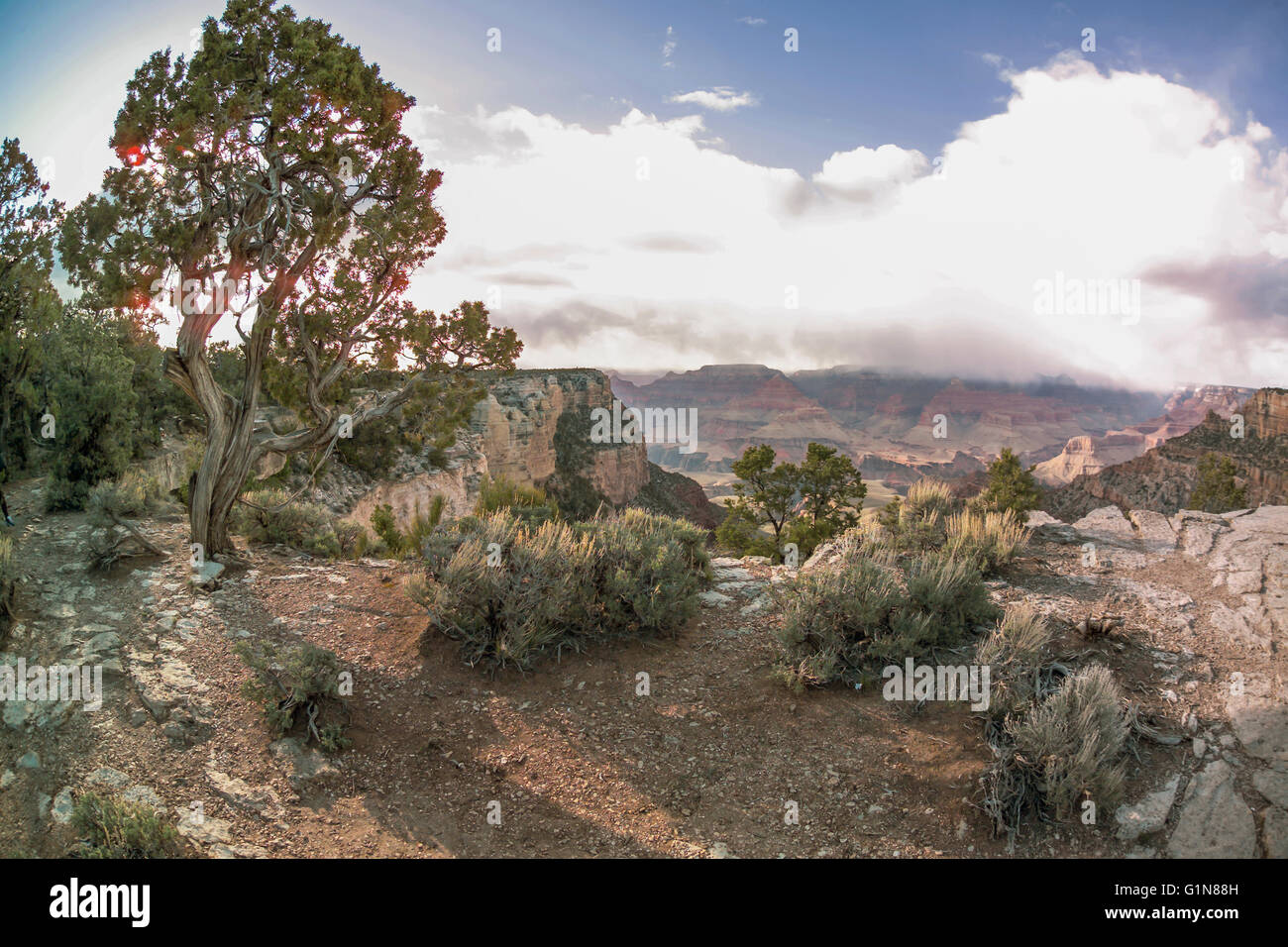 View from south rim Grand Canyon National Park, AZ Stock Photo