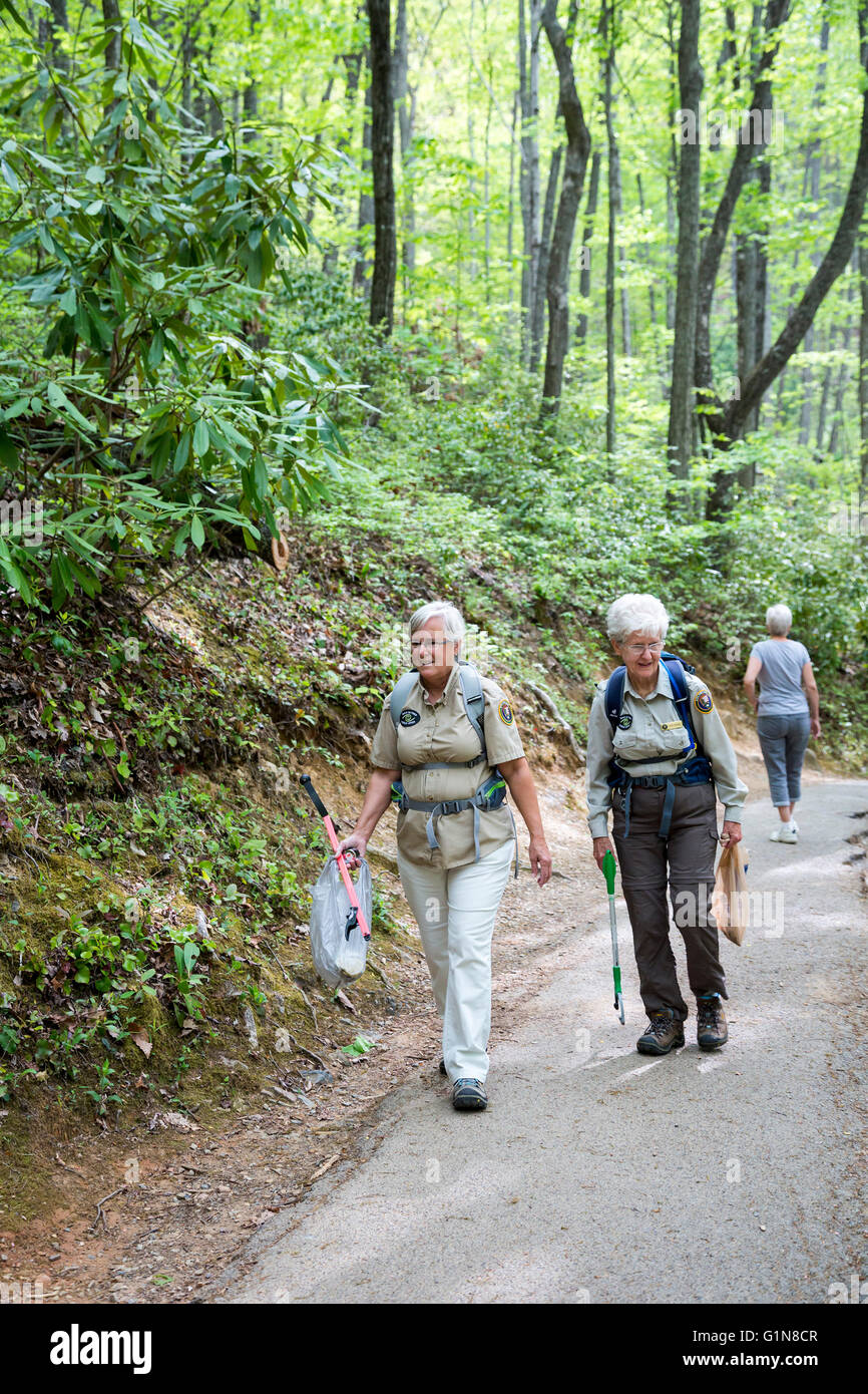 Great Smoky Mountains National Park, Tennessee - Senior citizen volunteers pick up litter along the Laurel Falls trail. Stock Photo