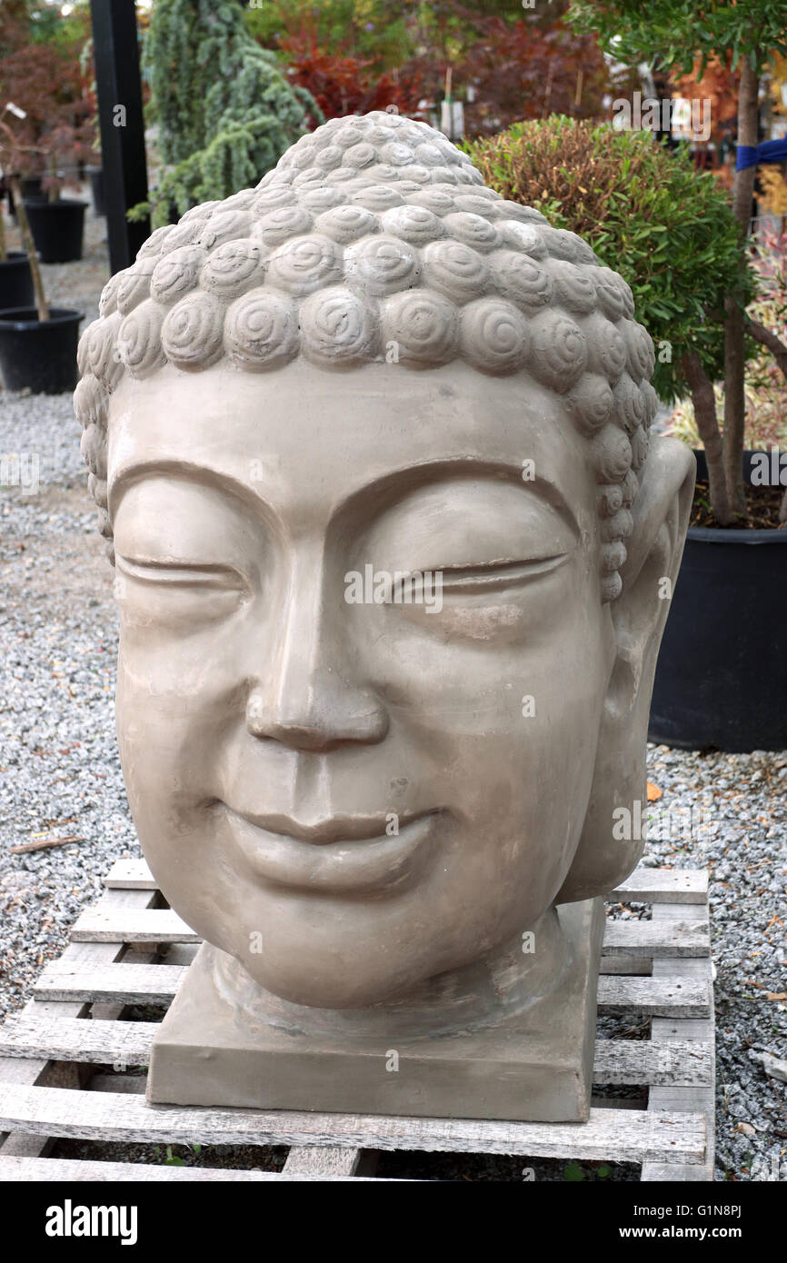 Buddha's head garden statue in a garden nursery, Melbourne Victoria