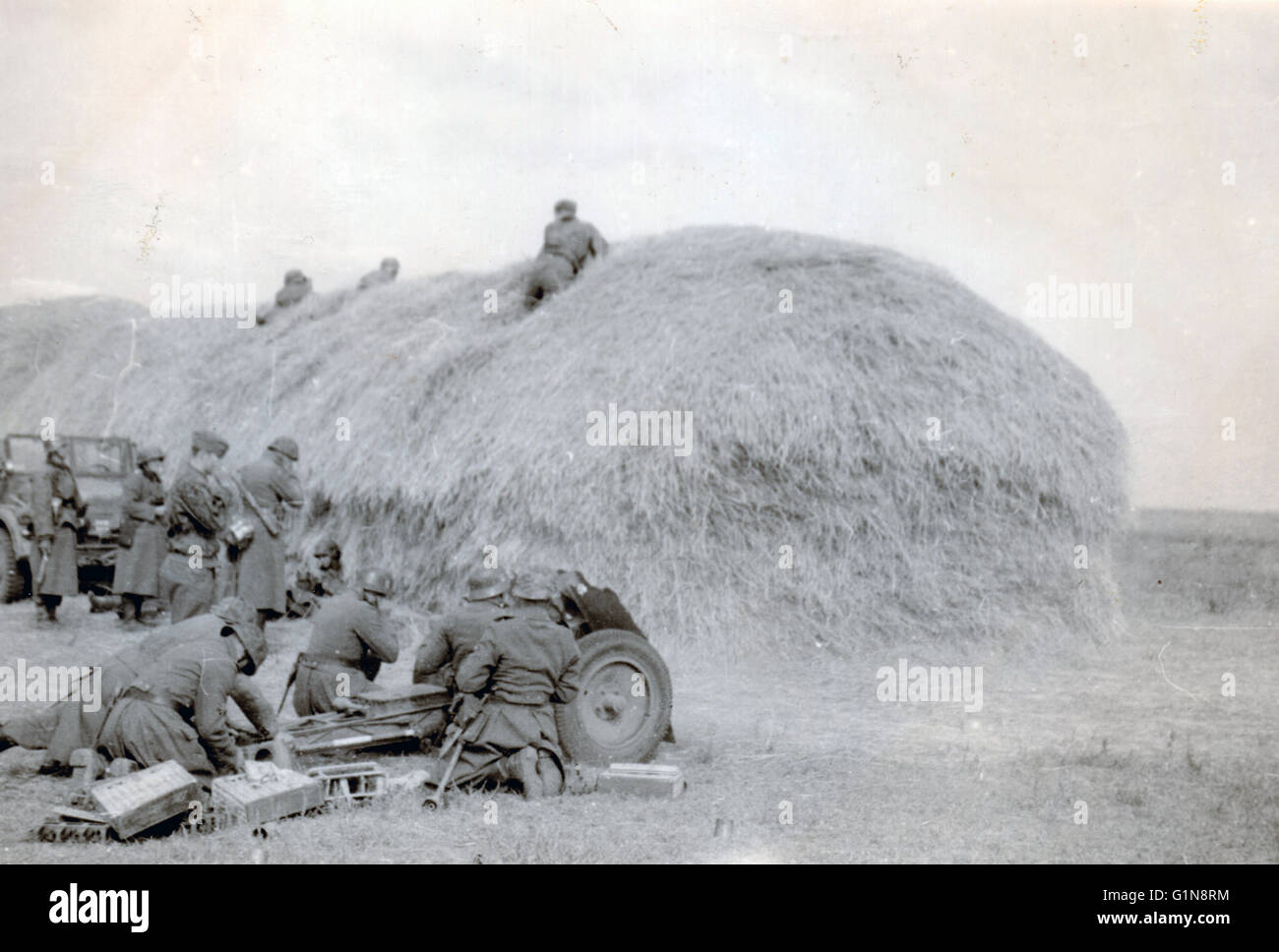 Waffen SS LAH 1 SS Division Light Infantry Gun in action,observers on Haystacks Eastern Front 1941 Stock Photo
