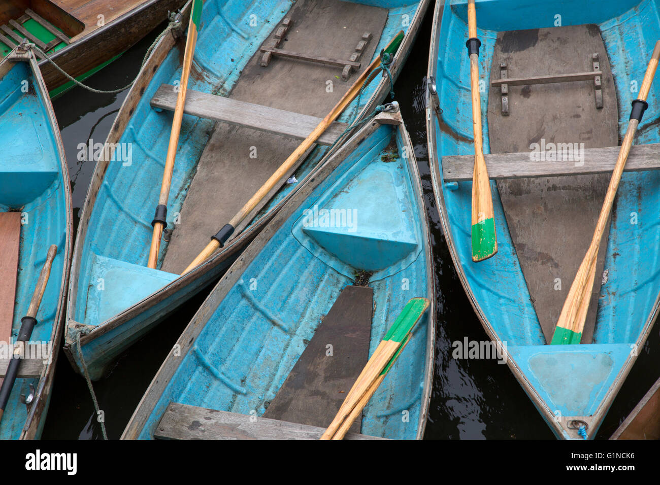 Rowing Boats for Hire, Oxford, England, UK Stock Photo Alamy
