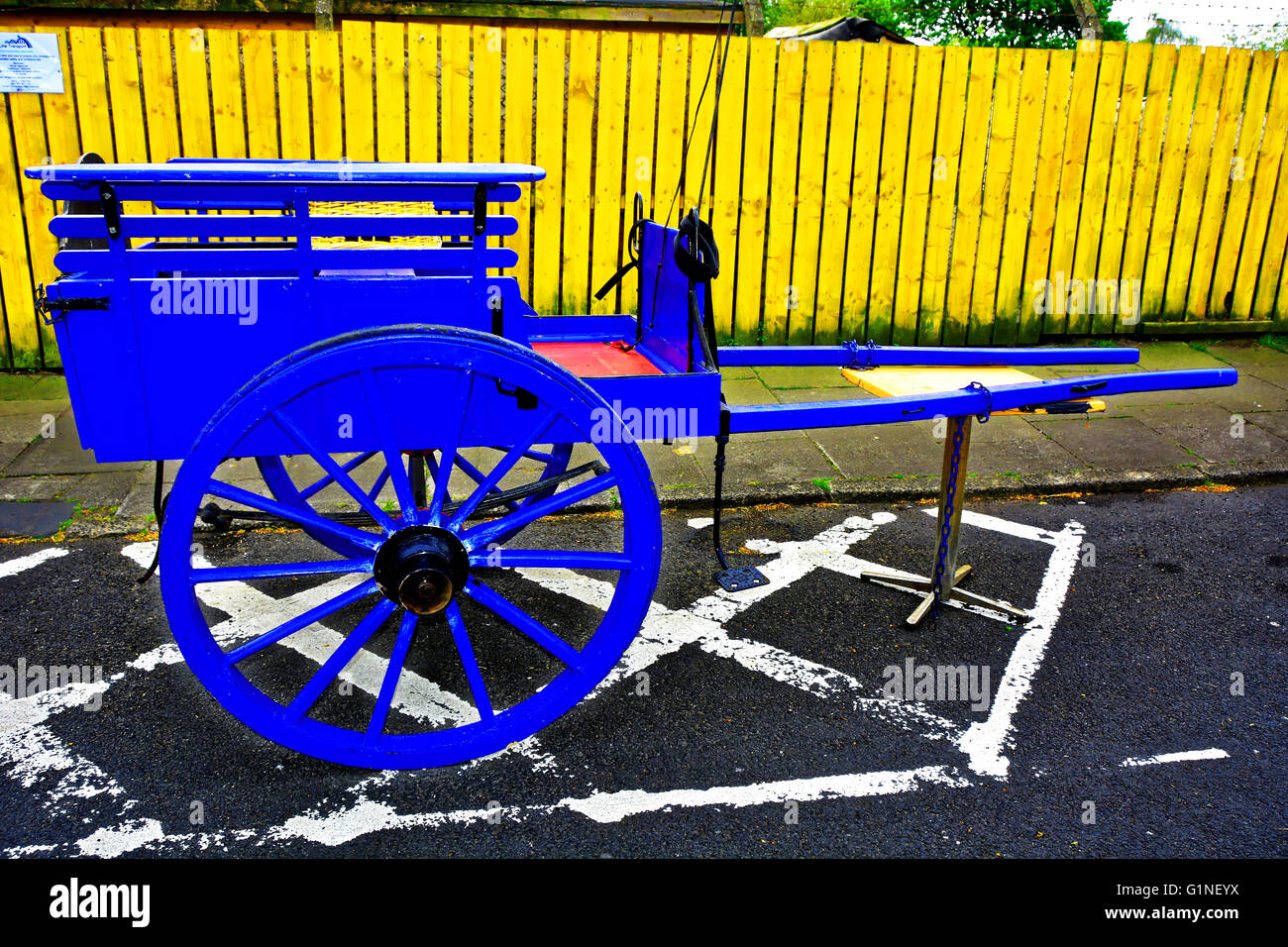 North Shields Farmyard two wheel blue light pony cart Stock Photo