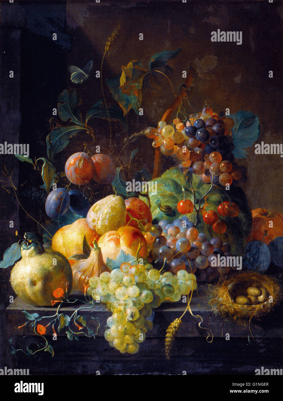 Roepel, Coenraet - Still Life with fruit - Museo Lázaro Galdiano Stock Photo