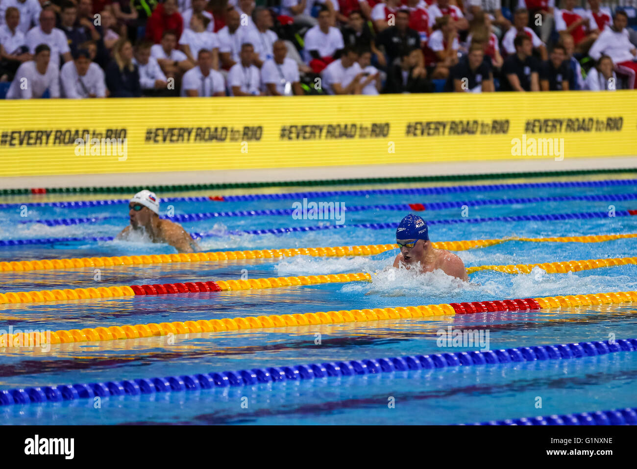 London,  UK. 17th May, 2016. Aquatics Centre, London, UK, 17th May 2016. British swimmer and Kazan World Champion Adam Peaty in the 100m breaststroke final. Adam Peaty wins gold in 58.36s, with the second British swimmer Ross Murdoch taking silver (59.73s) and Lithuanian Giedrius Titenis winning bronze. Credit:  Imageplotter News and Sports/Alamy Live News Stock Photo