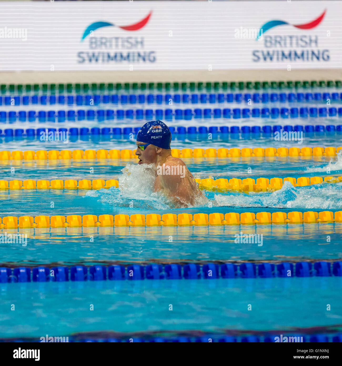 London,  UK. 17th May, 2016. Aquatics Centre, London, UK, 17th May 2016. British swimmer and Kazan World Champion Adam Peaty in the 100m breaststroke final. Adam Peaty wins gold in 58.36s, with the second British swimmer Ross Murdoch taking silver (59.73s) and Lithuanian Giedrius Titenis winning bronze. Credit:  Imageplotter News and Sports/Alamy Live News Stock Photo