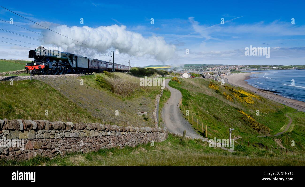Berwick upon Tweed, England, 17 May 2016. The Flying Scotsman (LNER Class A3 4472)  a Pacific steam locomotive) heads south after taking on water at Tweedmouth, Berwick upon Tweed, having just completed her first post restoration visit to Scotland. Built in Doncaster, South Yorkshire, in 1923, the Flying Scotsman pulled the first train to officially break the 100mph barrier in 1934. Stock Photo