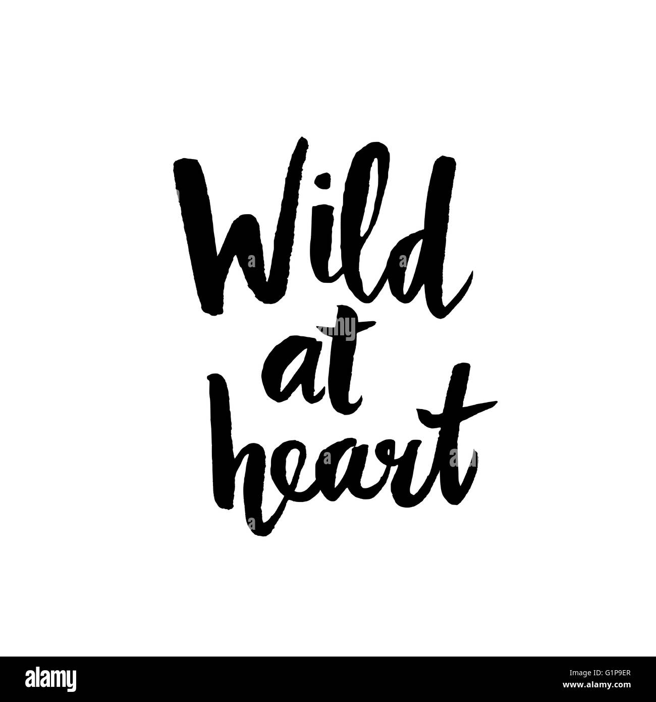 wild at heart jacket quote wild at heart jacket quote