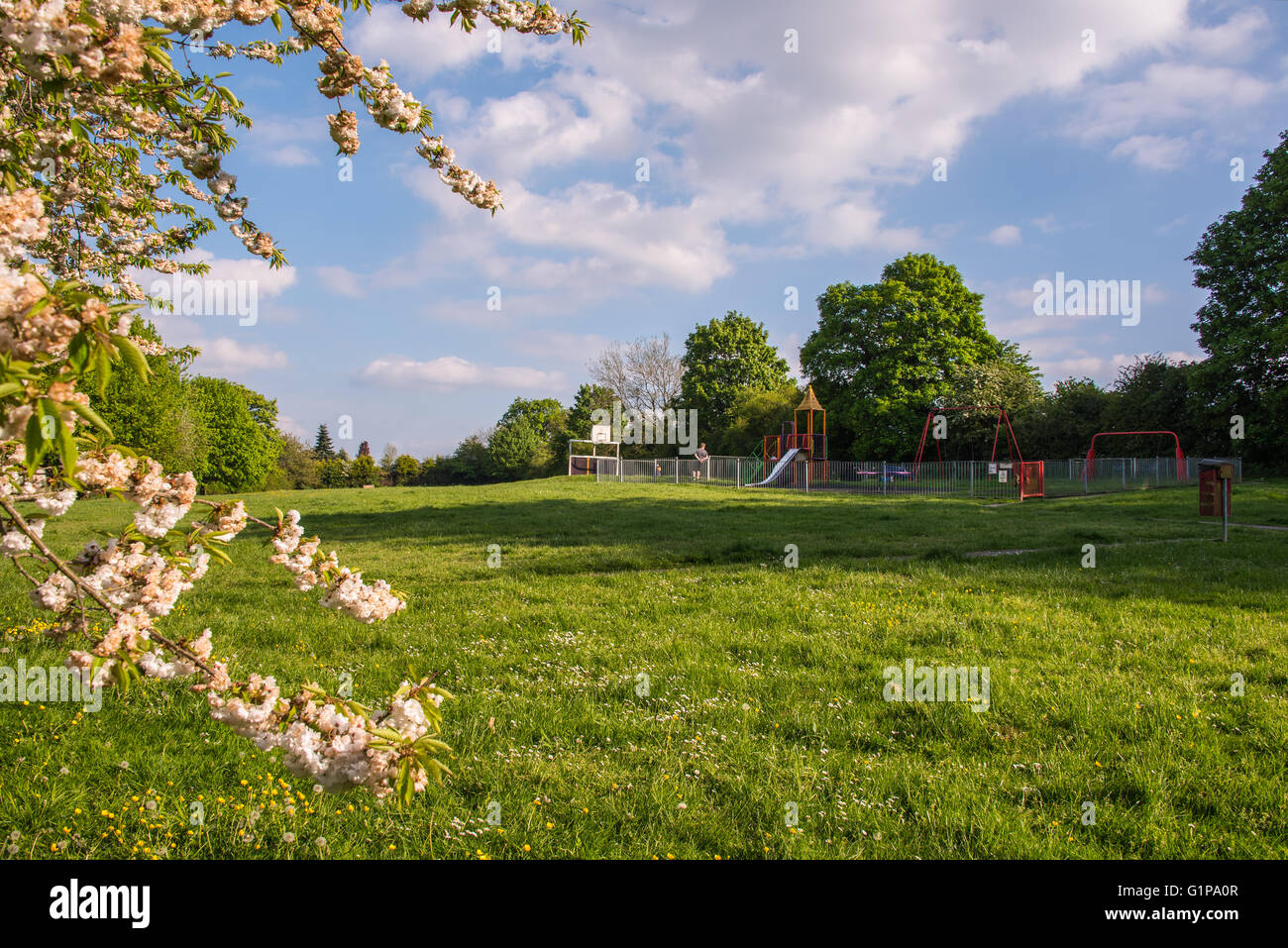 Peggy's Field in Markyate Stock Photo Alamy