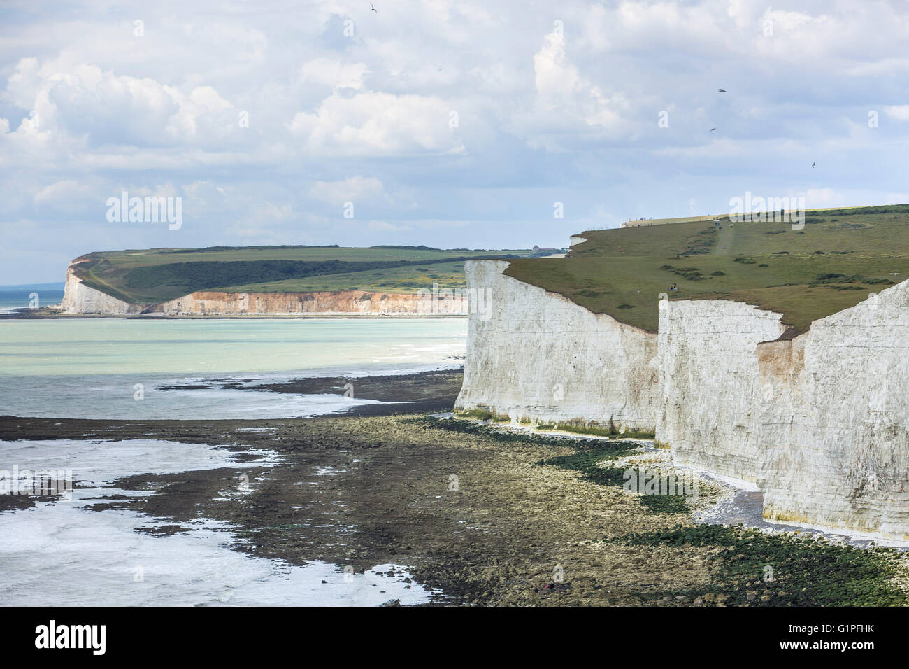 The Seven Sisters Cliffs, view from South Down Way, South Down National