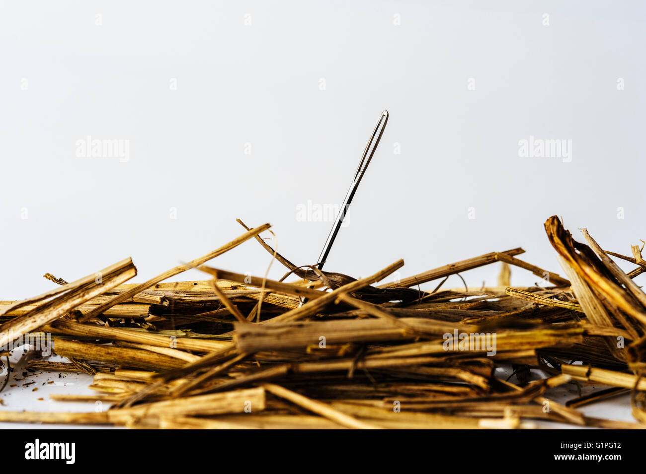 Looking for lost  needle in haystack. Searching. Lost and found. Stock Photo
