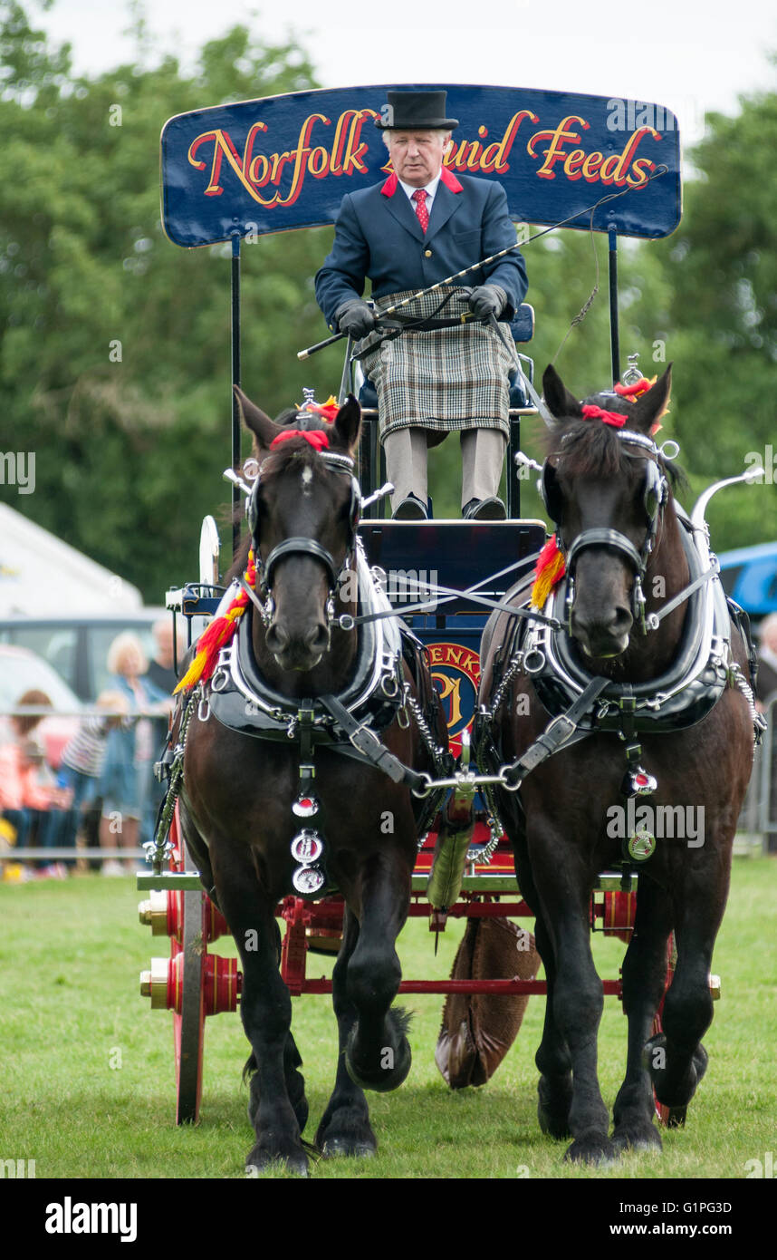Heavy horse pulling cart hires stock photography and images Alamy