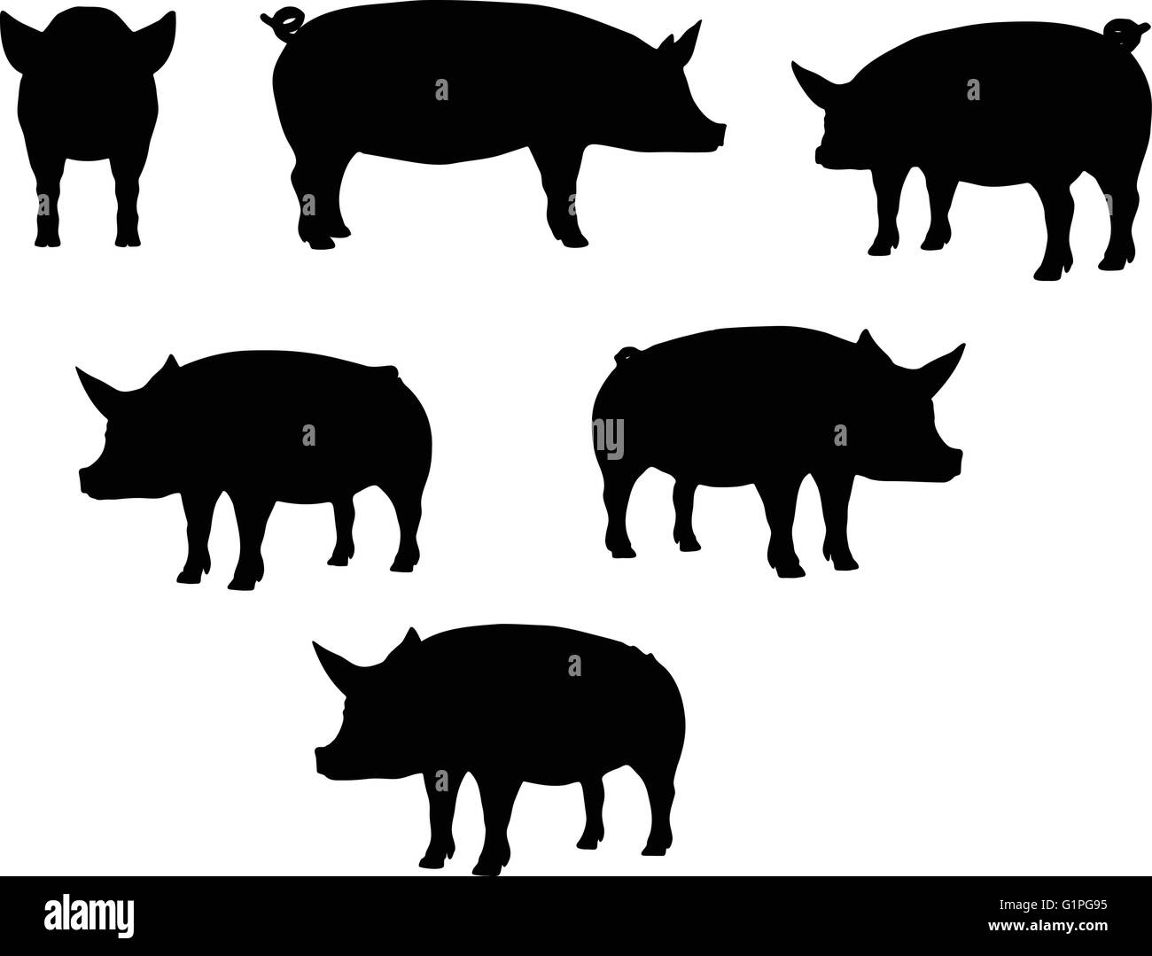 Vector Image, pig silhouette, in Curl Tail pose, isolated on white background Stock Vector