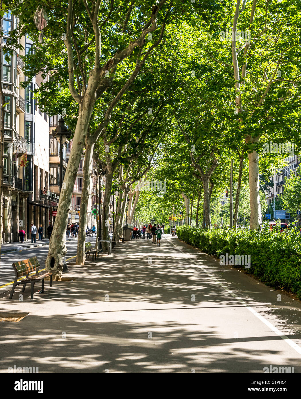 Gran Via De Les Cort Catalanes street in Barcelona University area. Stock Photo