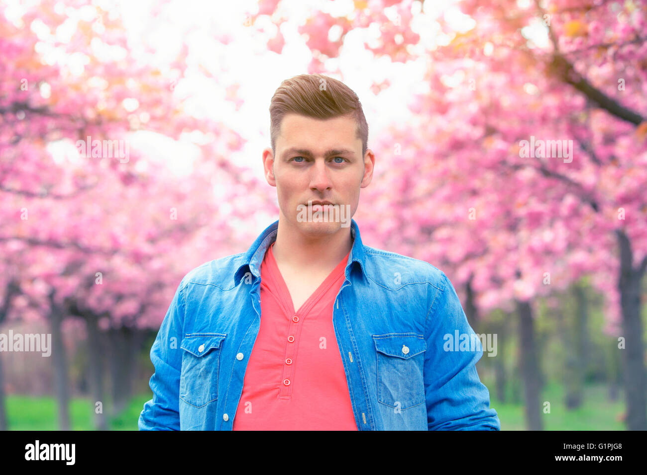 portrait of handsome man in front of cherry blossom Stock Photo - Alamy