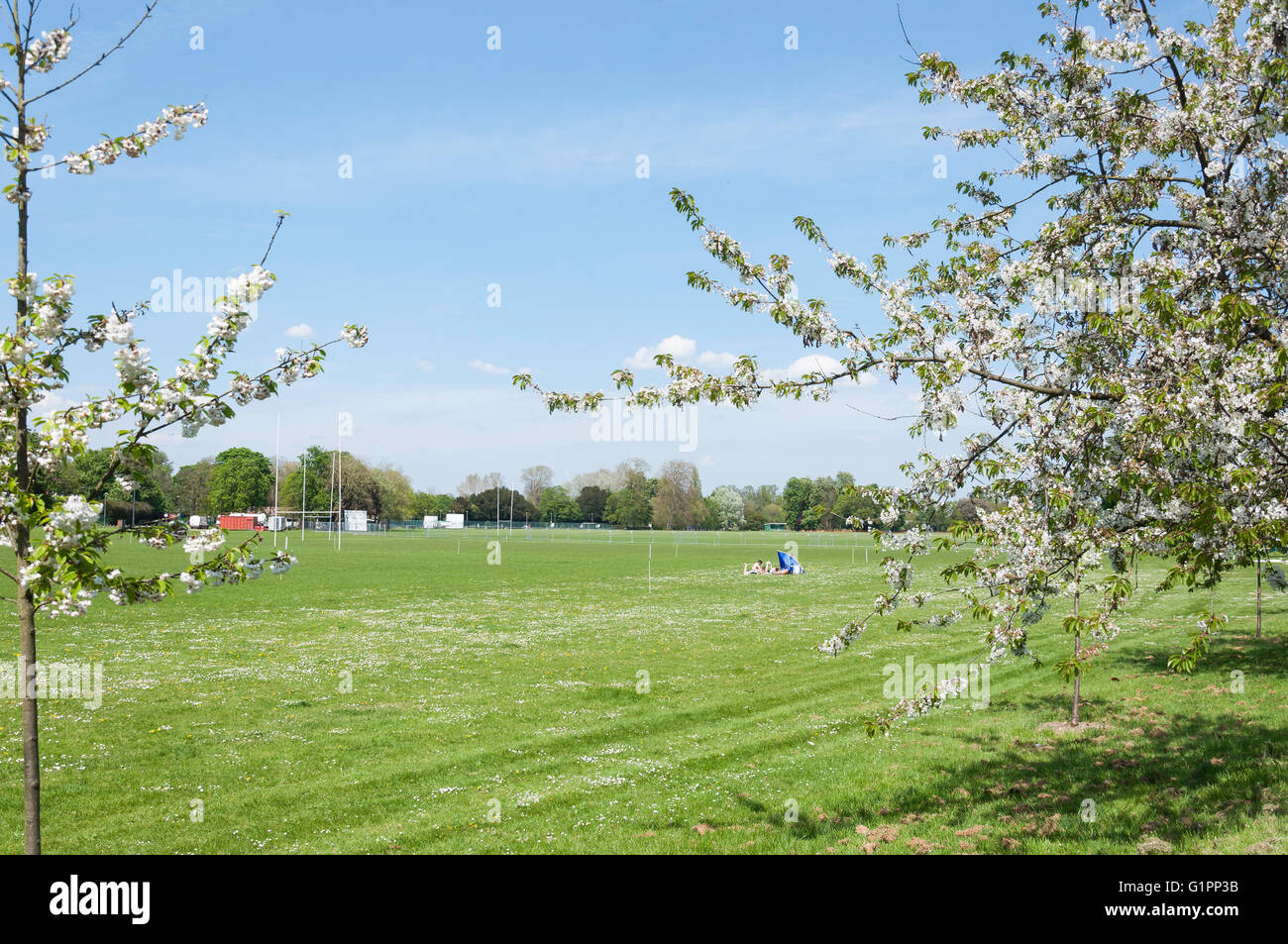 English park spring hi-res stock photography and images - Alamy