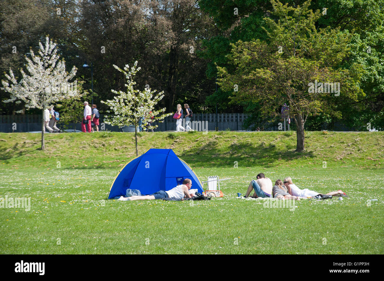 Home Park in spring, Windsor, Berkshire, England, United Kingdom Stock Photo