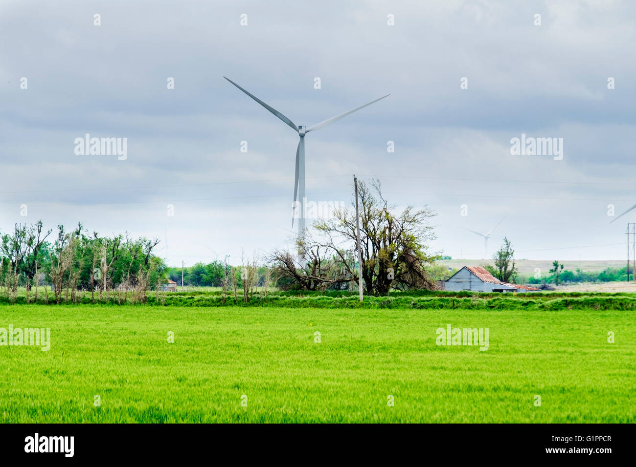 Wind turbans with a green wheat field in foreground.in the countryside of Oklahoma, USA. Stock Photo