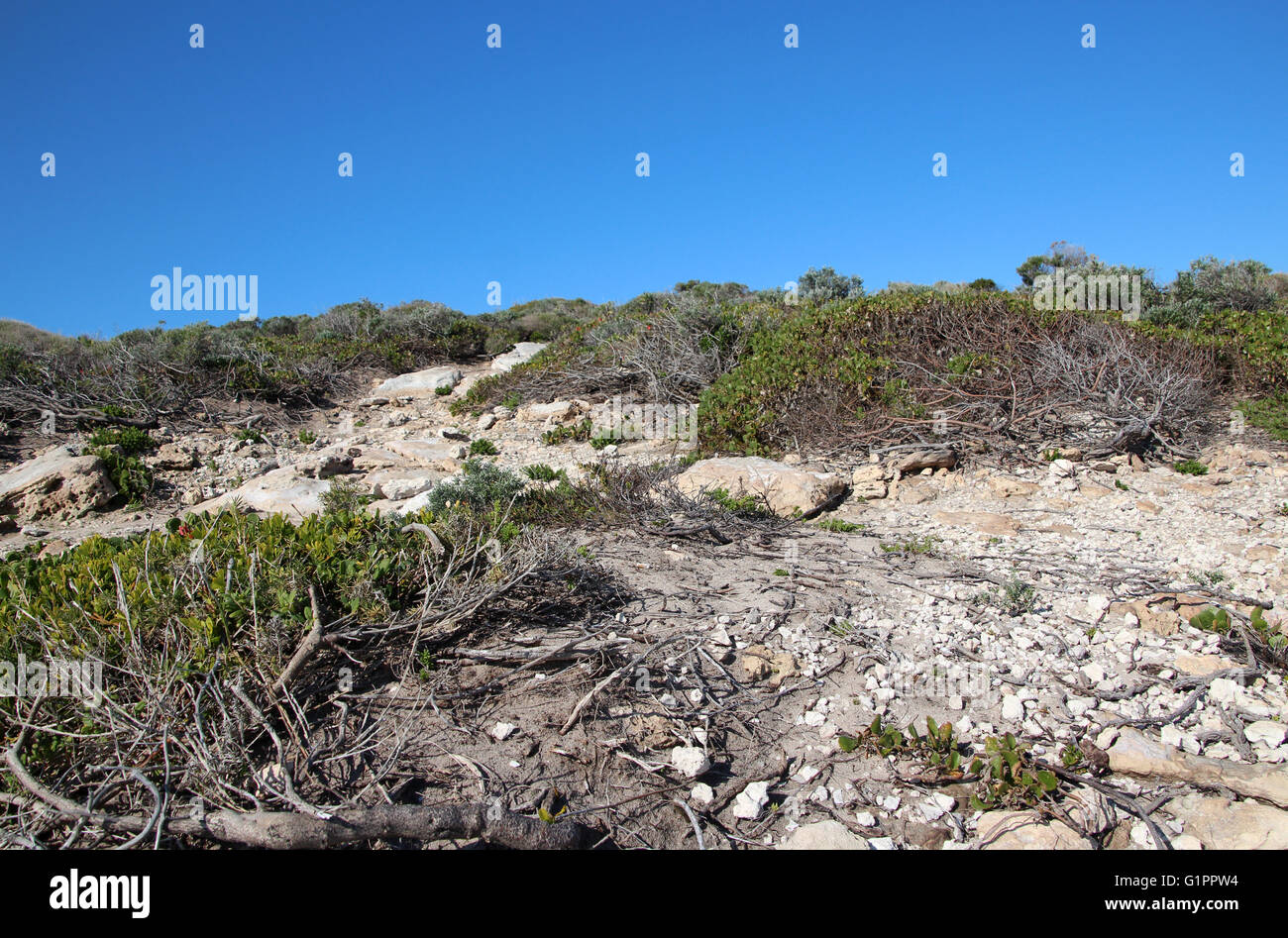 Ancient limestone rocky landscape at Margaret River South Western ...
