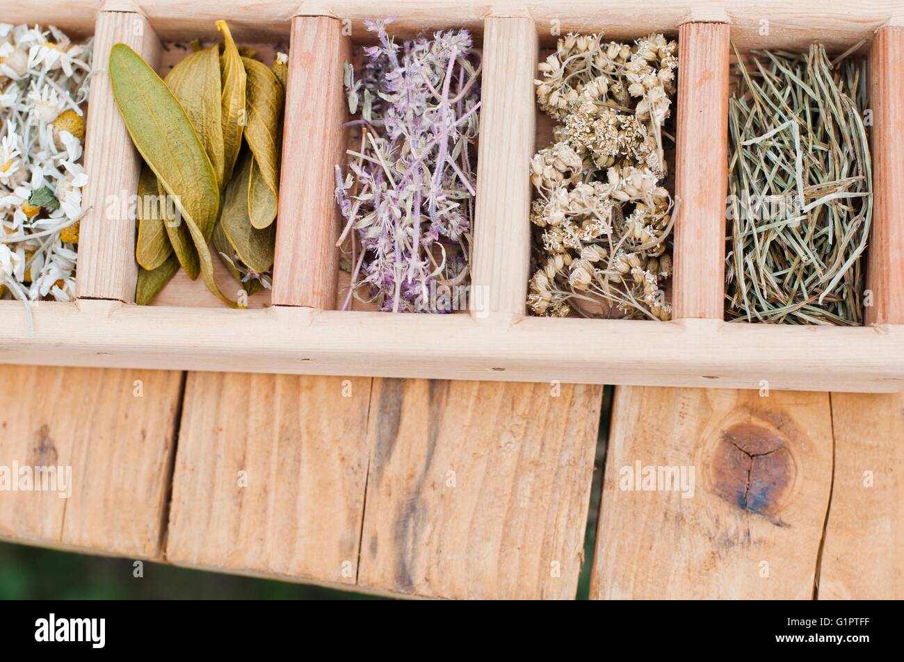 Assortment of dry medicinal herbs in wooden box Stock Photo