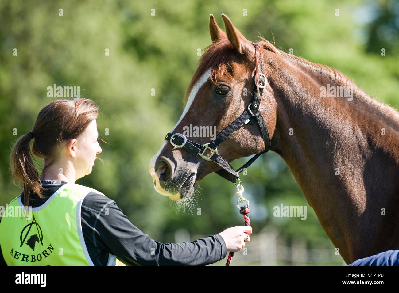 girl holding a horse at a competition Stock Photo