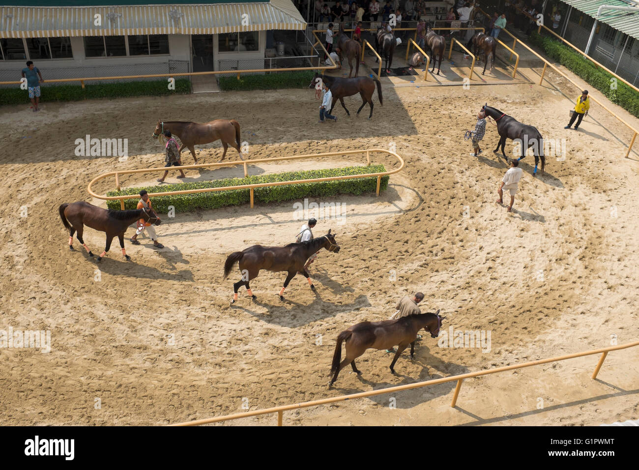 Horse Racing at the Royal Bangkok Sports Club in Bangkok Thailand Stock Photo