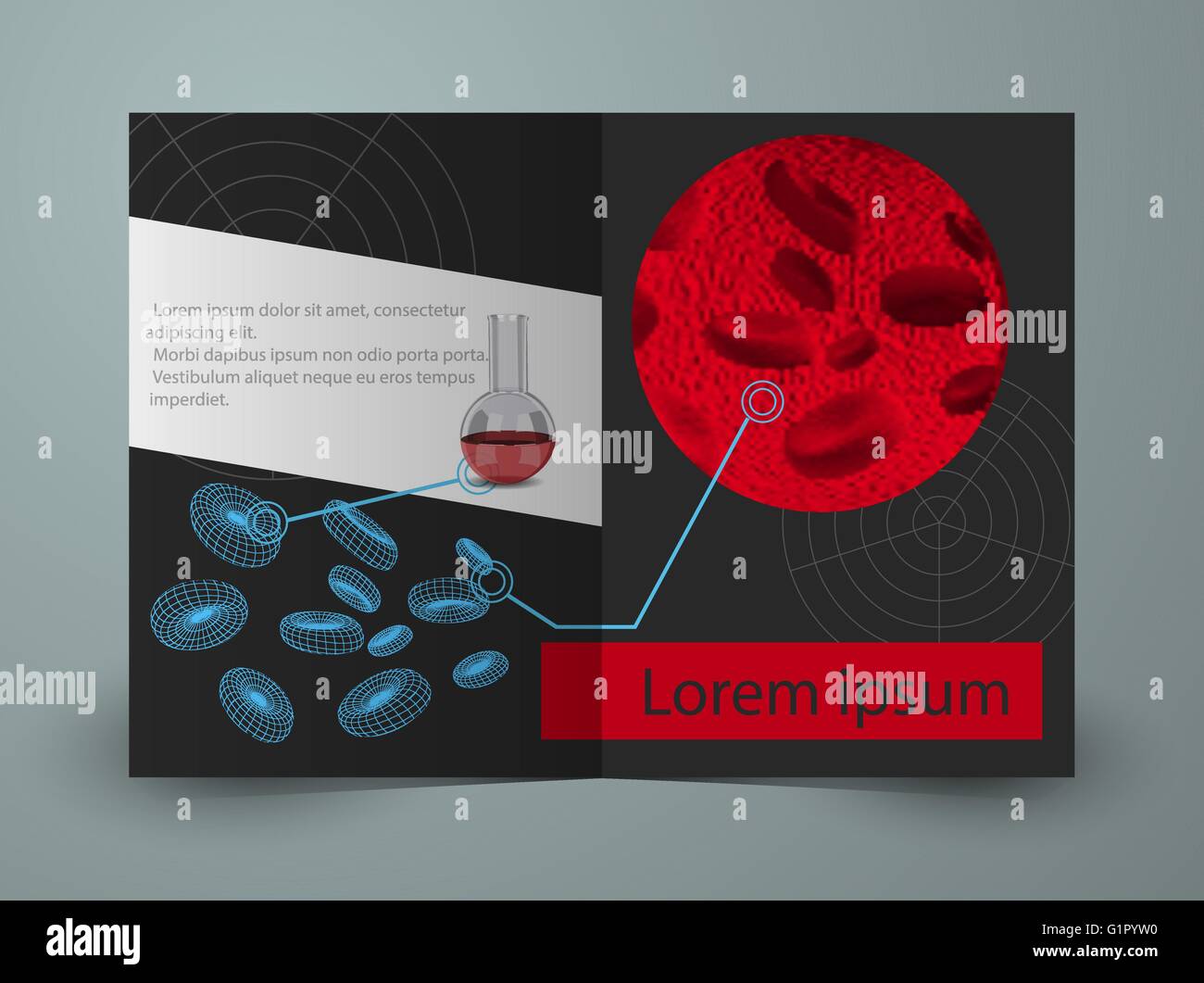 Brochure for blood research laboratory Stock Vector