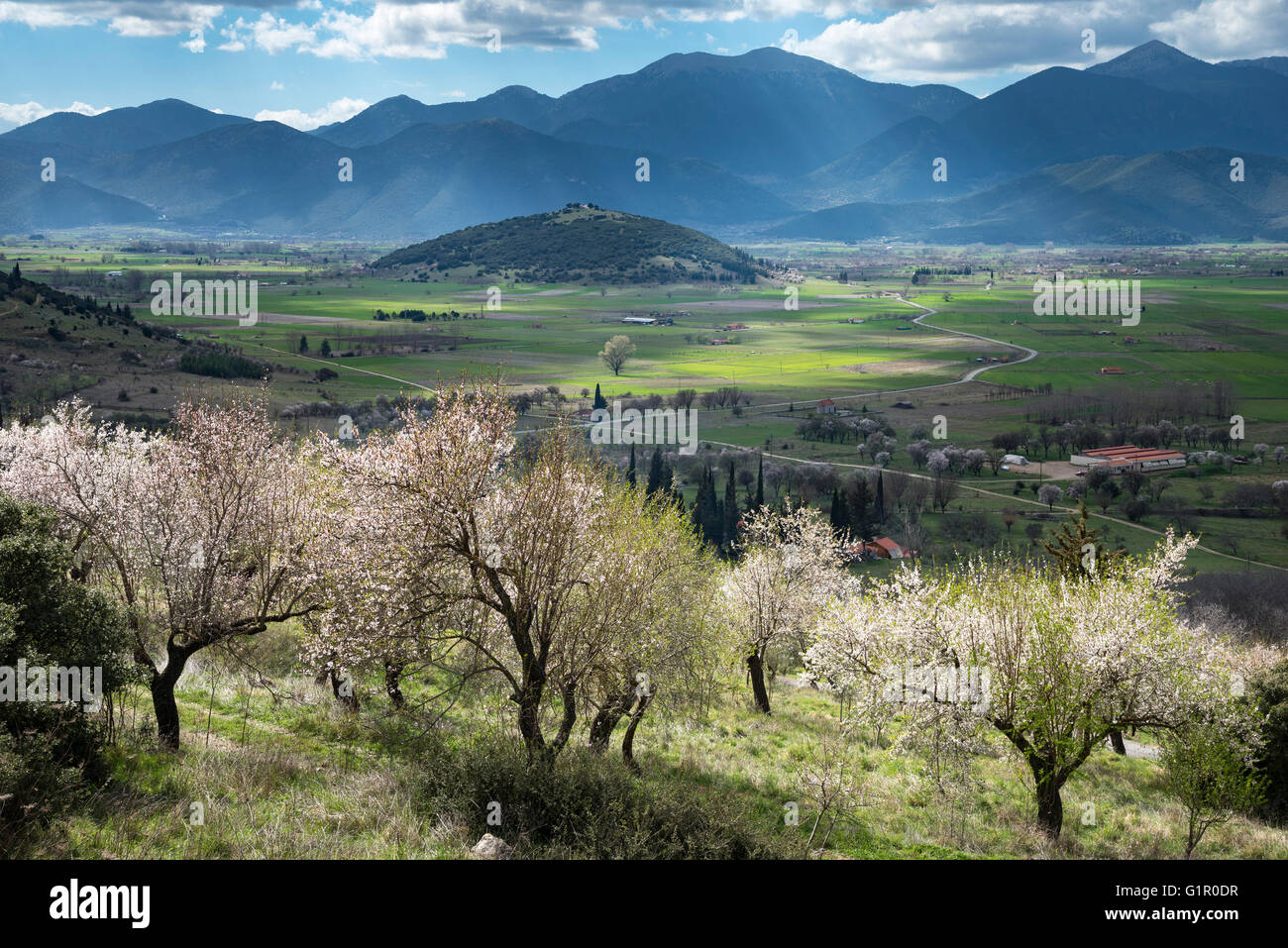 Springtime on the plain of Mantineia, near Tripoli, Southern Arcadia, Peloponnese, Greece Stock Photo