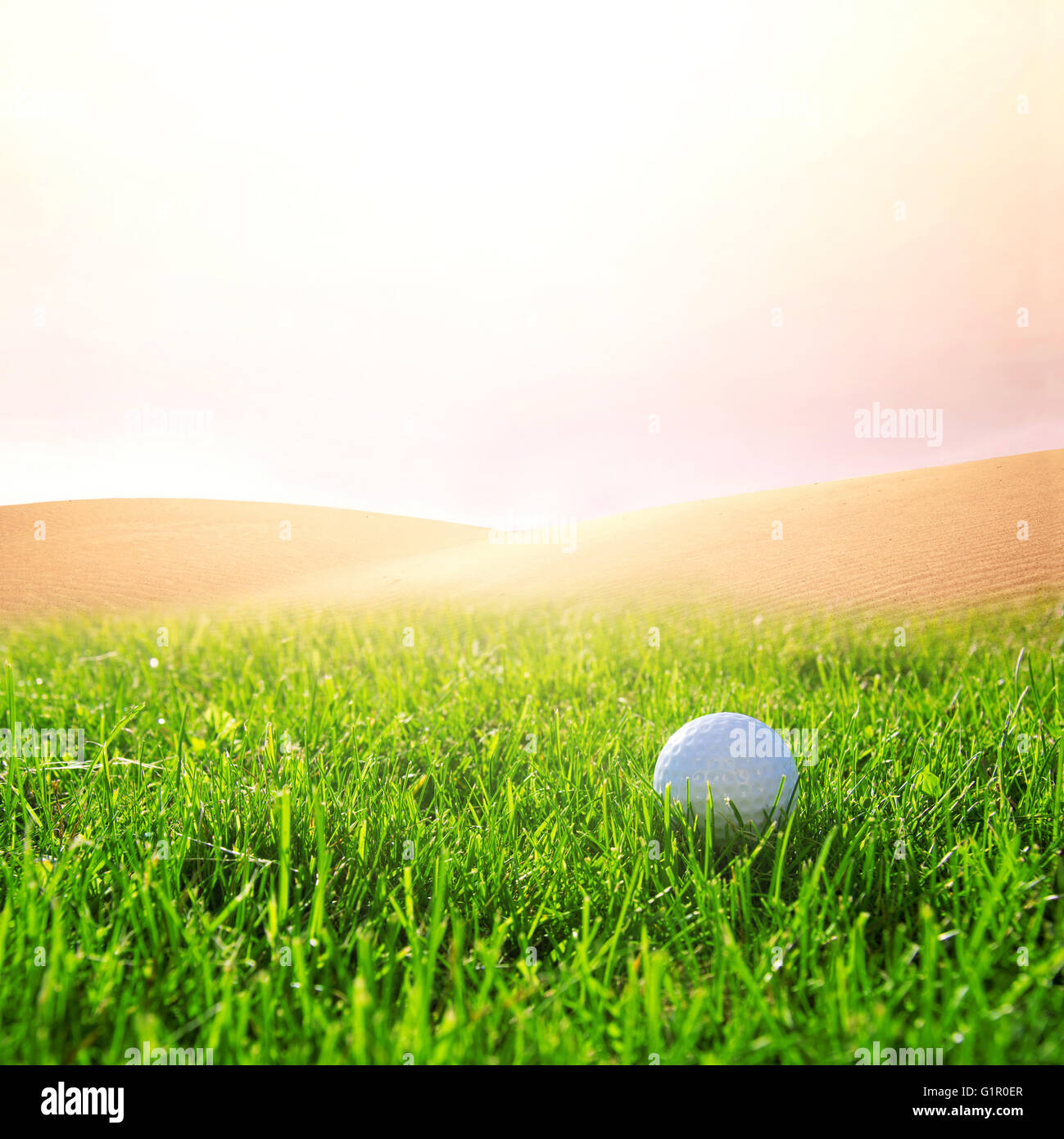 Golfball in the green grass on the golf course. Sport conceptual image. Stock Photo