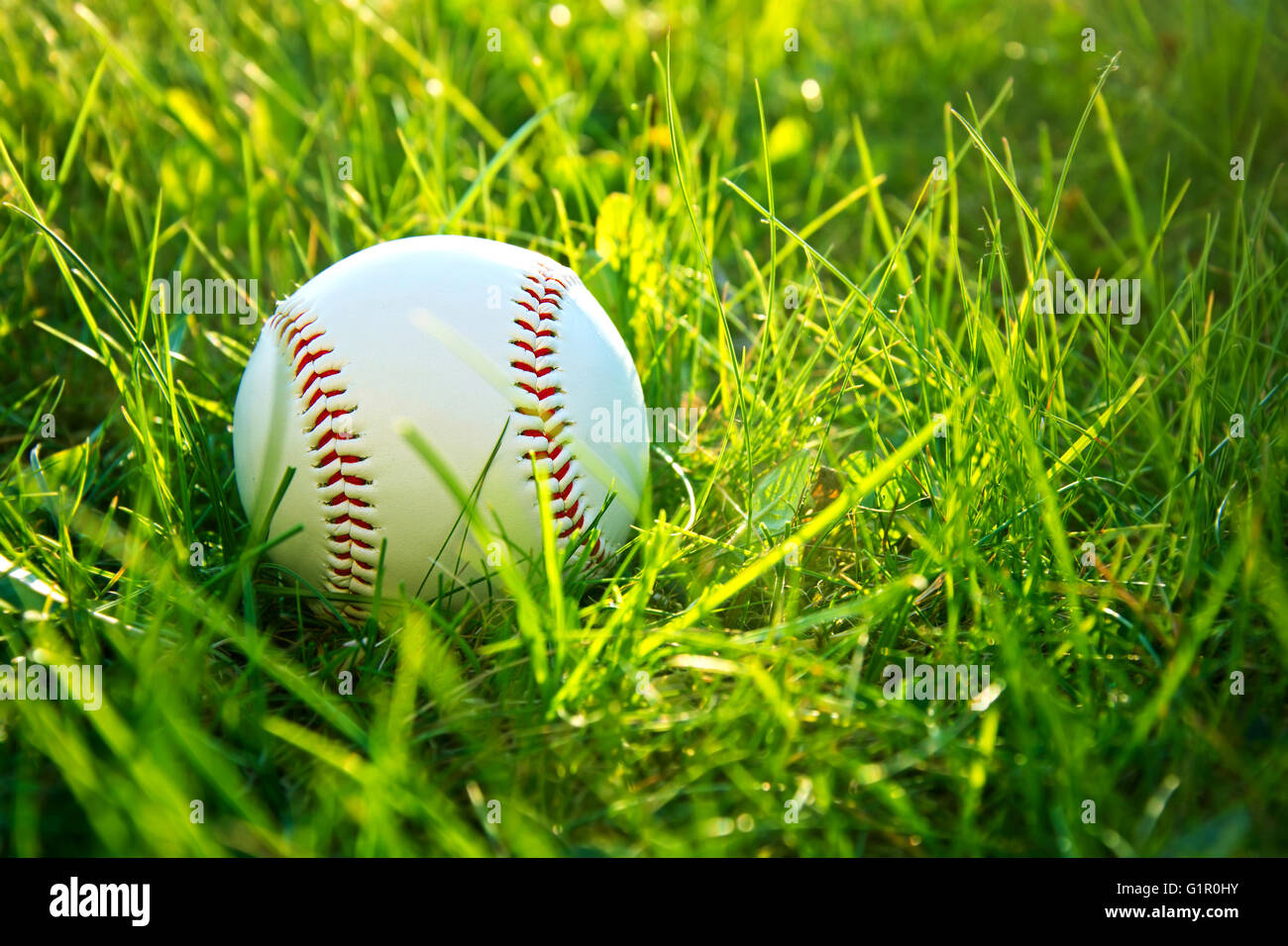 Baseball game. Baseball ball in grass Stock Photo Alamy
