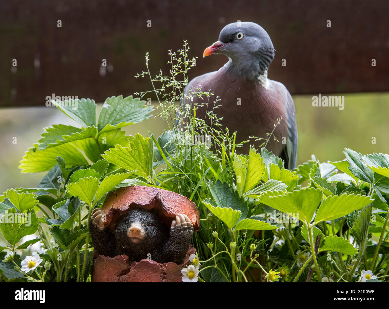 mole figurine