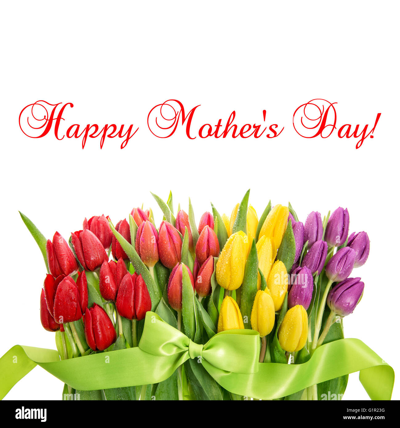 Tulips with water drops. Spring flowers red, pink, yellow, purple. Sample text Happy Mother’s Day! Stock Photo