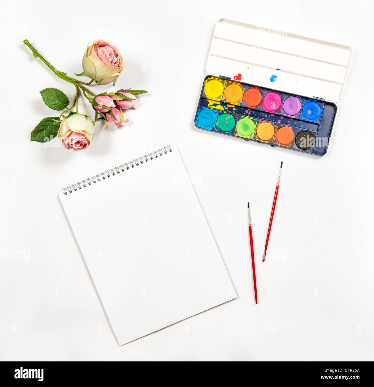 Flat lay with sketchbook, watercolor, brushes, paper, rose flowers on white background Stock Photo