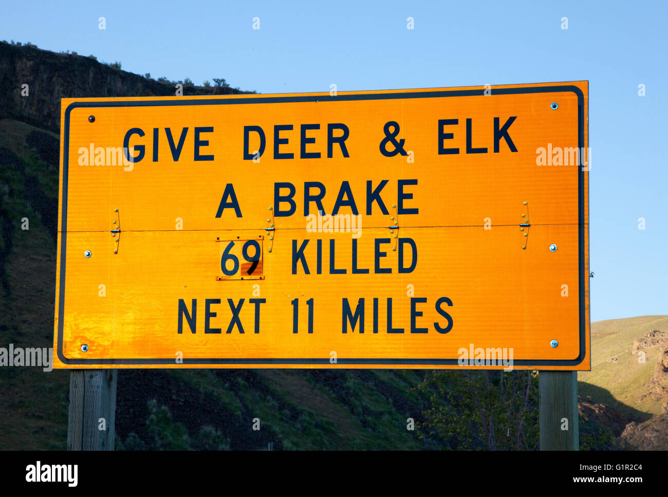 Deer, antelope, and elk on highway warning sign, US, 2016. Stock Photo