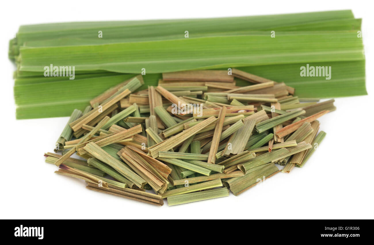 Lemongrass over white background Stock Photo