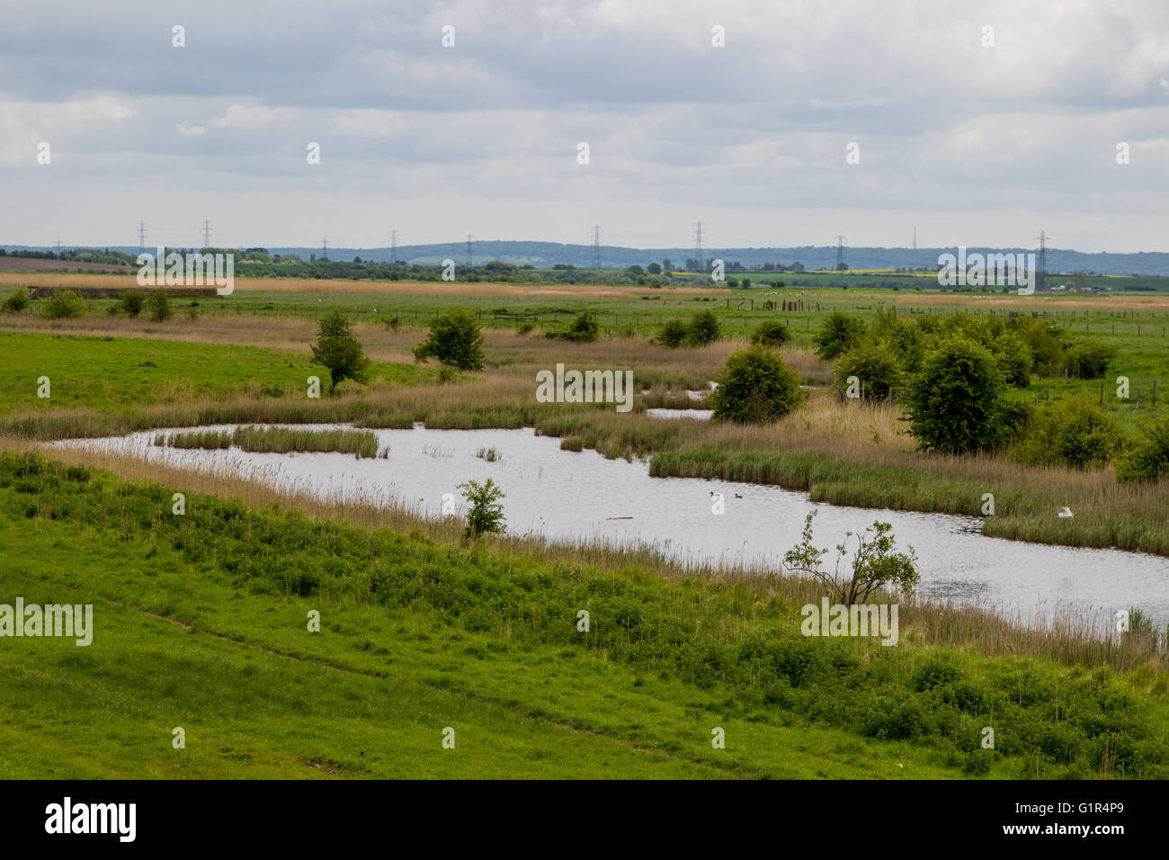 Natural pond surrounded by graalssy farmland, banks of river Swale, north Kent, north Downs in the background Stock Photo