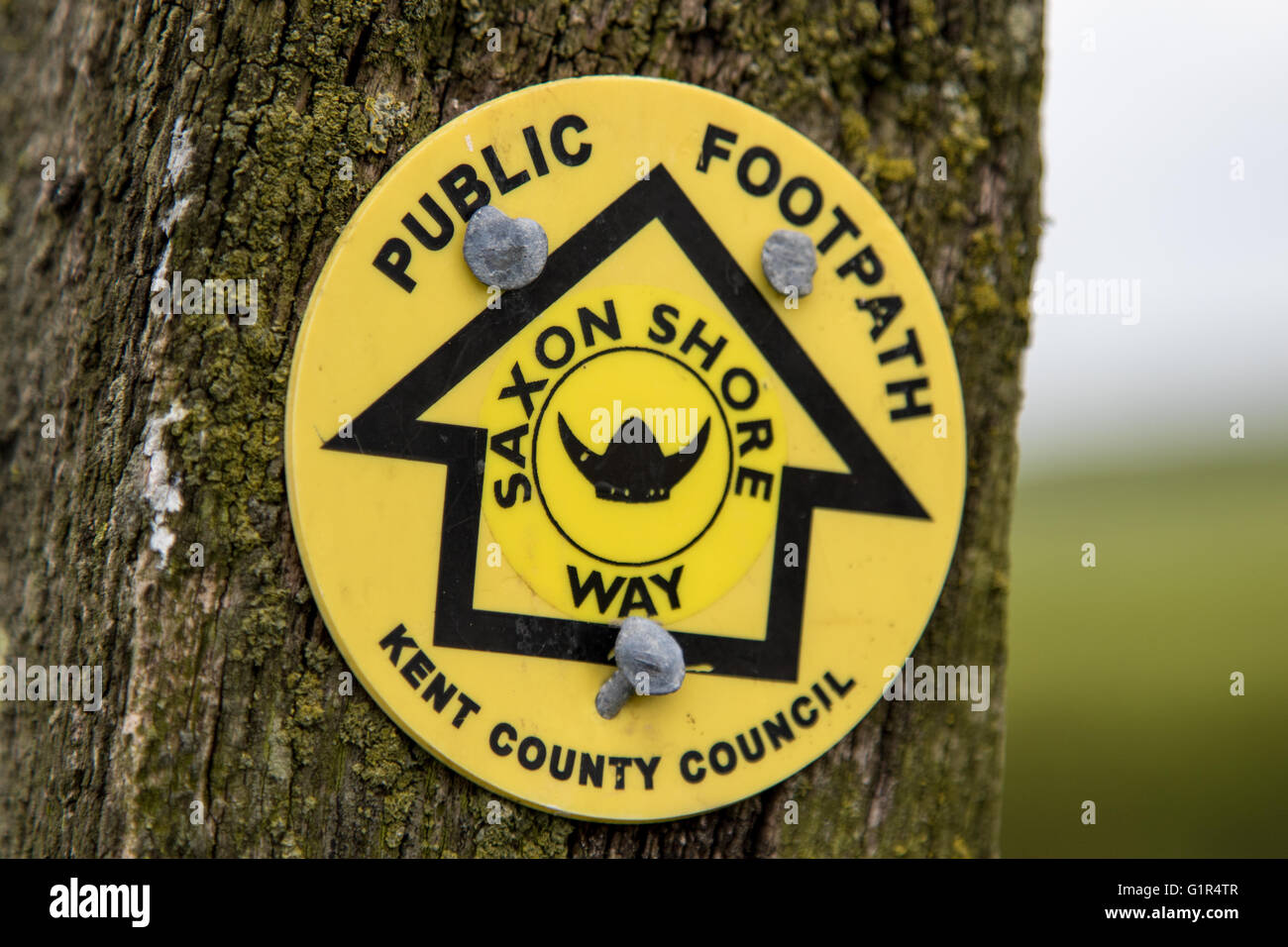 Yellow Saxon Shore Way footpath sign on a wooden post Stock Photo