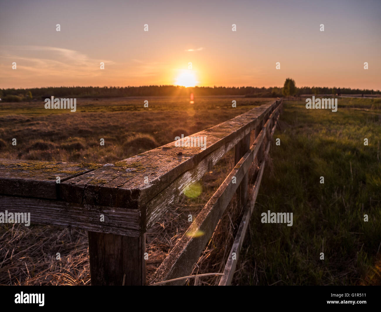 Rural nature at sunset. Beautiful summer landscape with field and ...
