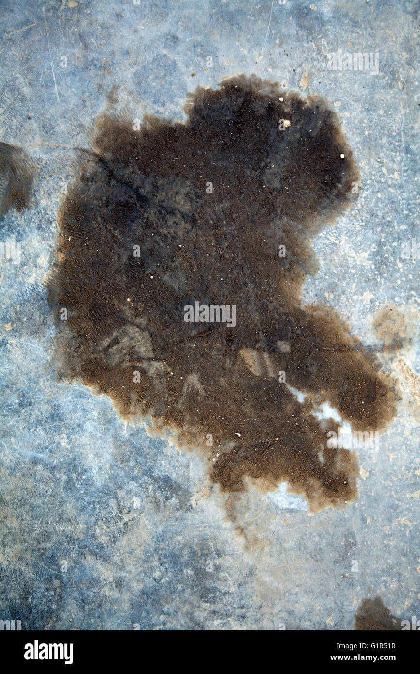 Oil Stain on Concrete Stock Photo Alamy