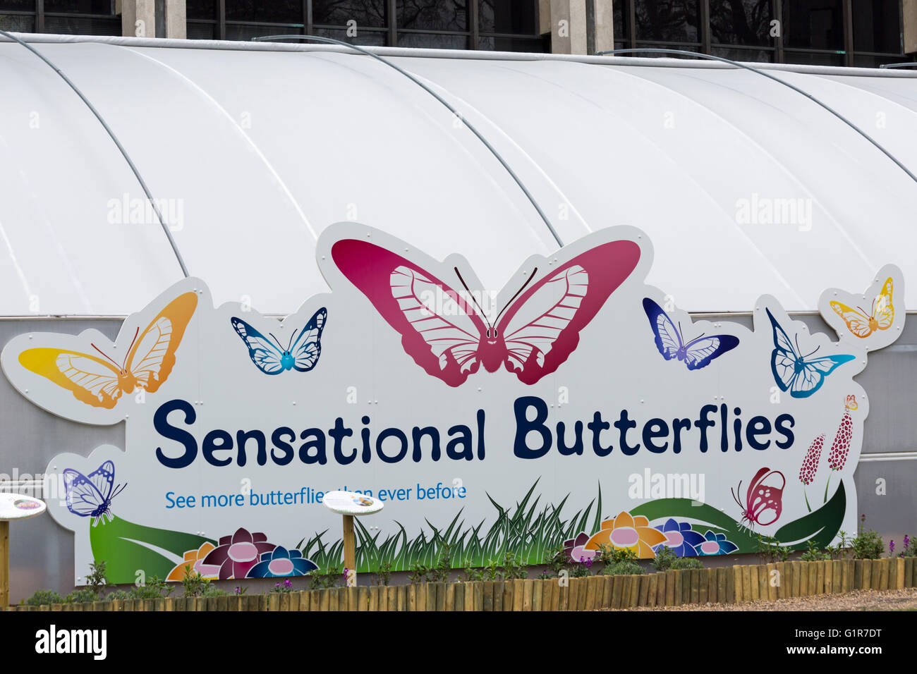 Sensational Butterflies sign at exhibition, Natural History Museum, London UK in April Stock Photo