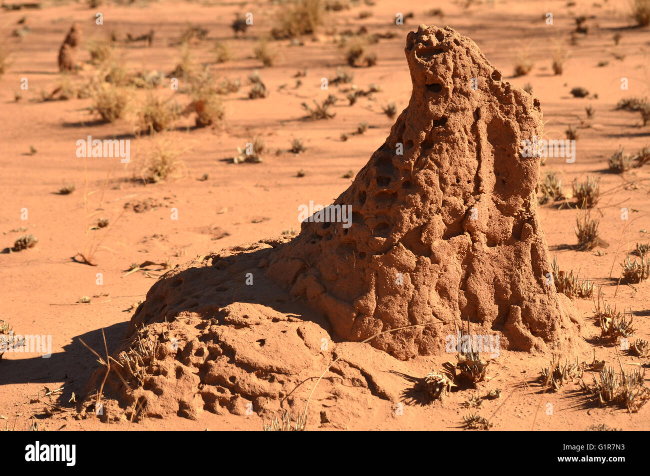 Odd pyramid shaped termite mound built from red soil in outback Australia Stock Photo