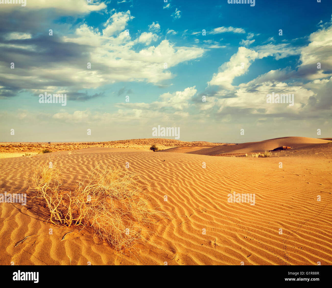 Dunes of Thar Desert, Rajasthan, India Stock Photo