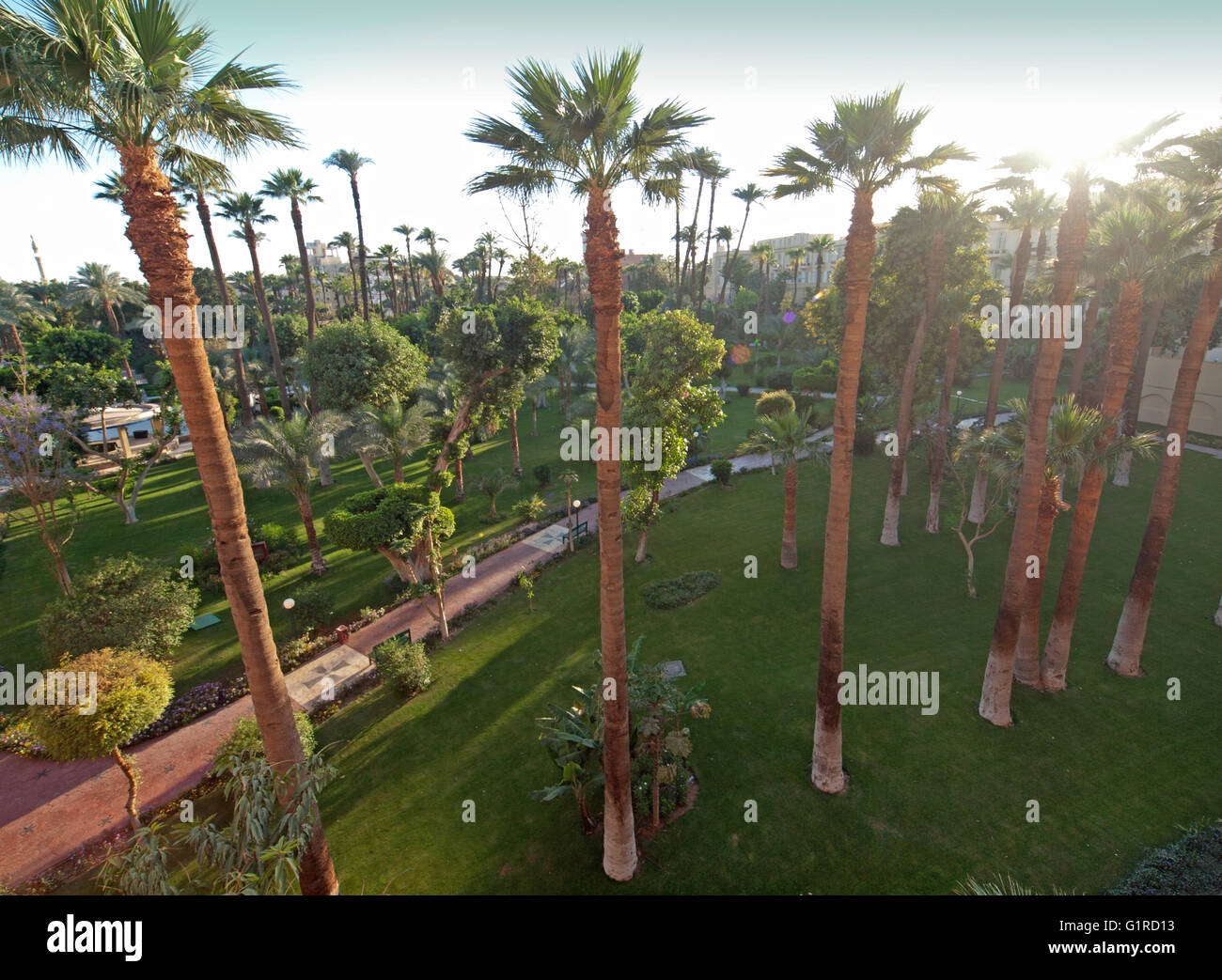 The gardens of the Winter Palace in Luxor, Egypt Stock Photo Alamy