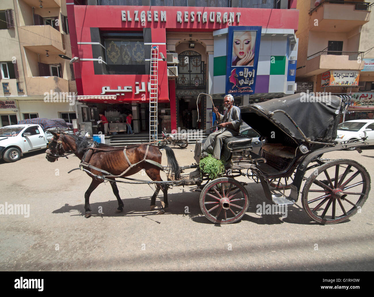A horse and carriage in Luxor, Egypt Stock Photo Alamy