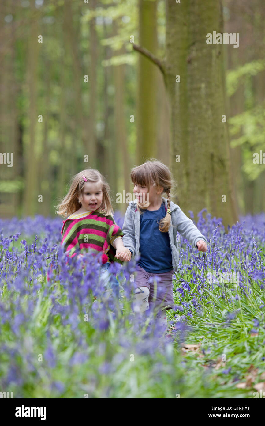 happy toddlers walking through bluebell woods Stock Photo