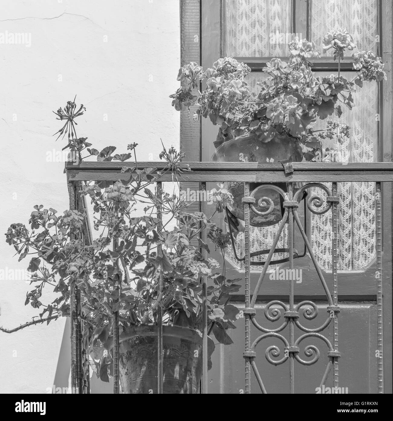 Black and white photo of detail of colonial style window door with balcony and flowers pots in Quito, Ecuador Stock Photo